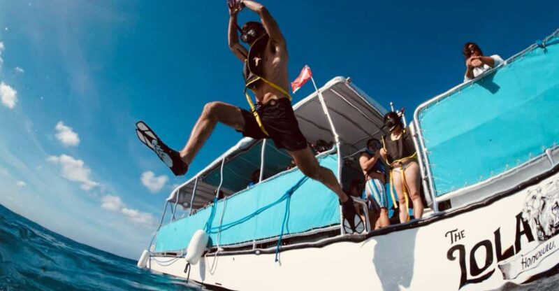 Waikiki: Snorkel Tour With Hawaiian Green Sea Turtles - Participant Eligibility