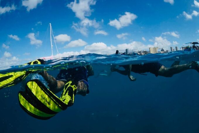 Waikiki: Snorkel Tour With Hawaiian Green Sea Turtles - Meeting Point and Check-in