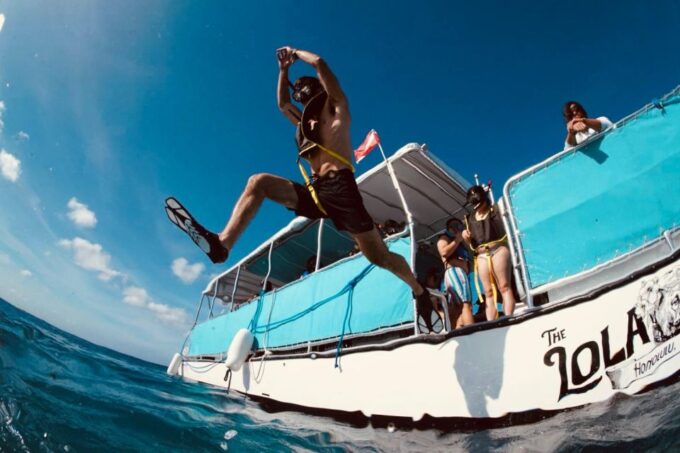 Waikiki: Snorkel Tour With Hawaiian Green Sea Turtles - Safety Precautions and Guidelines