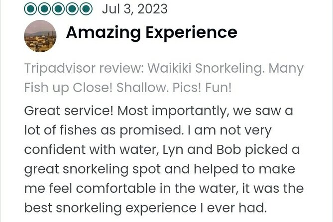 Waikiki Snorkeling. Free Pictures and Video! Shallow. Many Fish! - Small-Group Tour With 12 Travelers