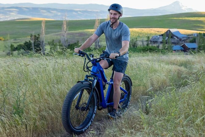 Waikiki to Kakaako & Historic Honolulu - Fat Tire E-Bike Tour - Tour Overview