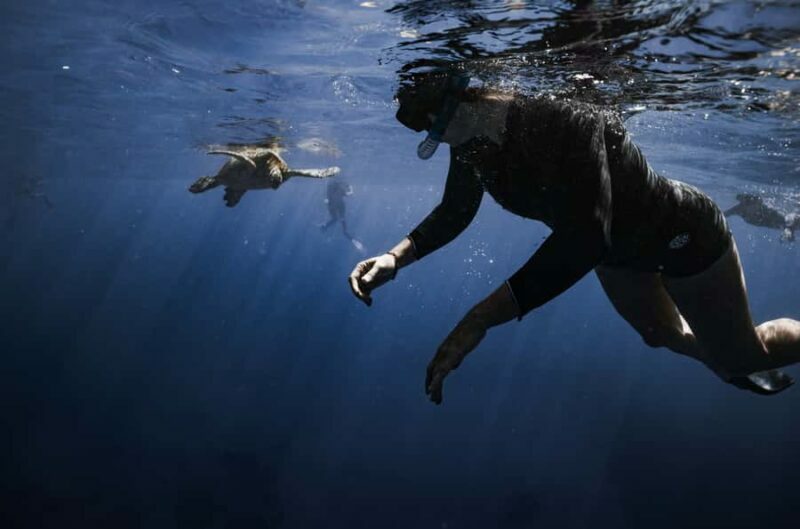 Waikiki: Turtle Canyon Snorkel Tour - 6 passengers max - FAQ