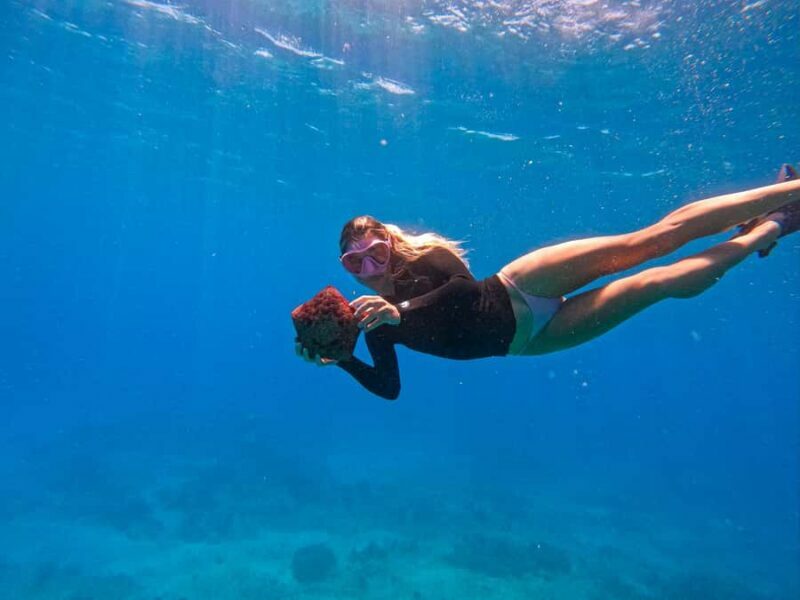 Waikiki: Turtle Canyon Snorkel Tour with Small Group - Why This Tour Can Work for You