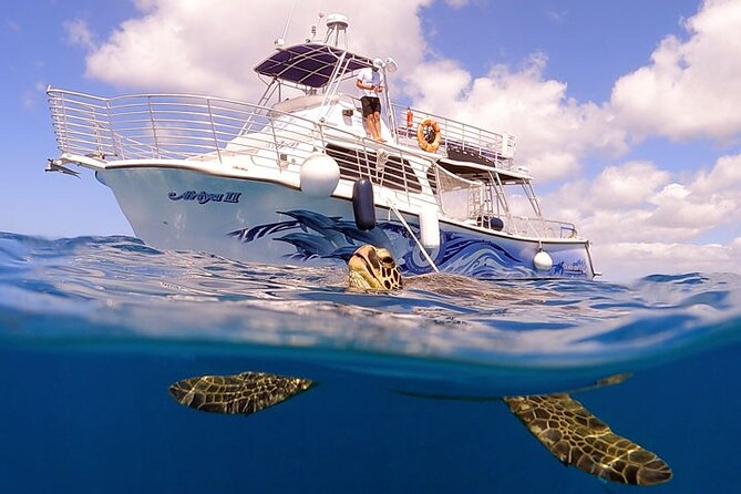 Waikiki Turtle Canyon Snorkeling With Lunch and Hula Show - Snorkeling Experience
