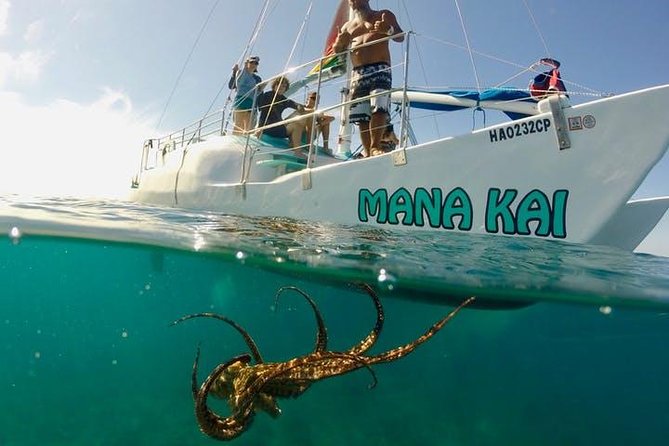 Waikiki Turtle Snorkel Adventure With Manakai Catamaran - Additional Information