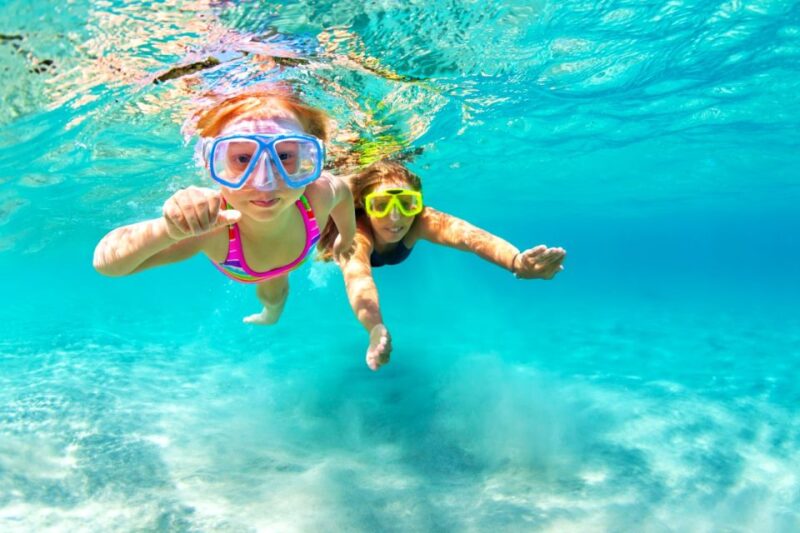 Waikiki: Turtle Snorkeling Cruise With 20FT Jumping Platform - Pickup and Transportation