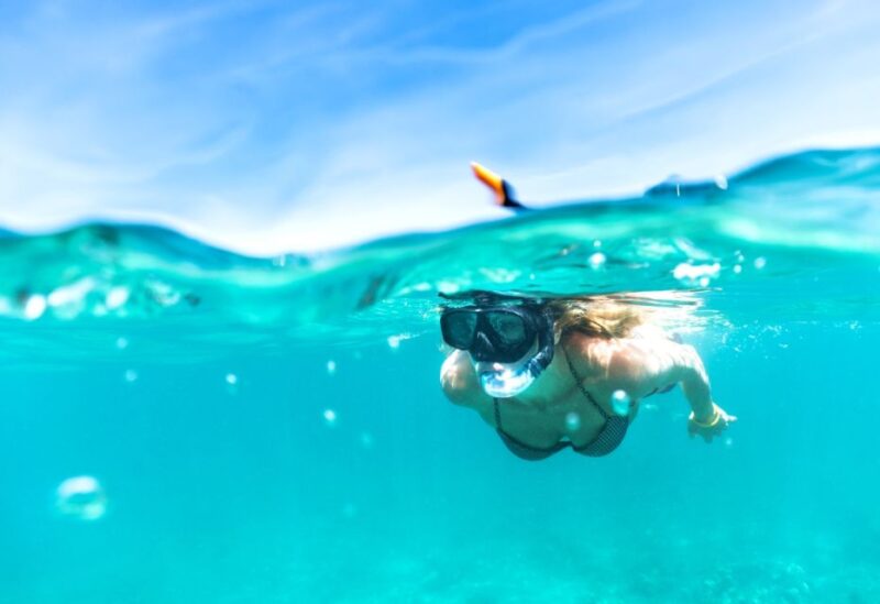 Waikiki: Turtle Snorkeling Cruise With 20FT Jumping Platform - Age and Accessibility Restrictions