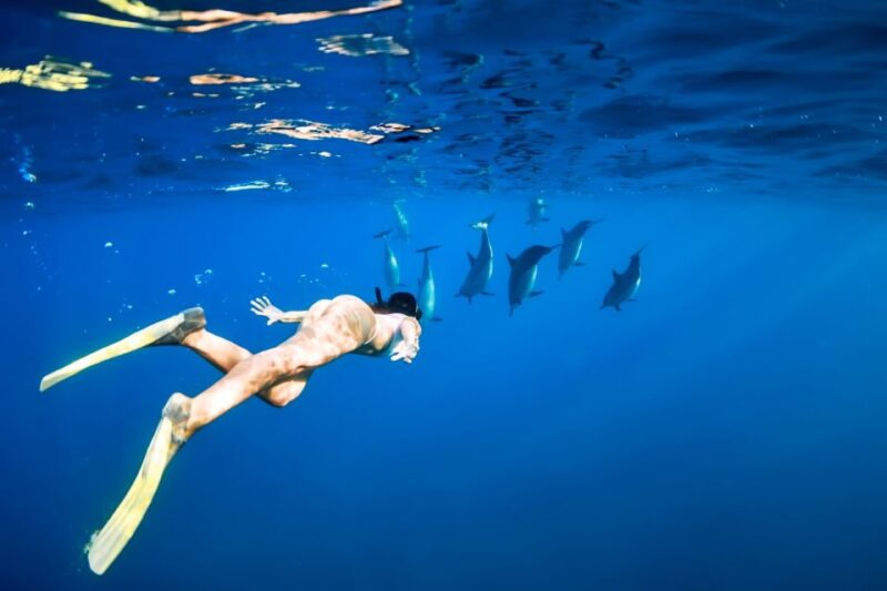 Waikiki: Turtle Snorkeling Cruise With 20FT Jumping Platform - Customer Ratings and Feedback