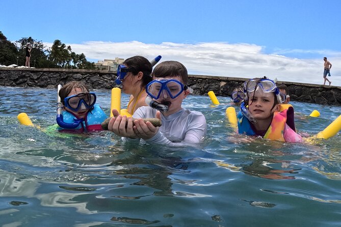Waikiki! Very Shallow Snorkeling Fish Marinelife!Free Pics&Video! - Key Points