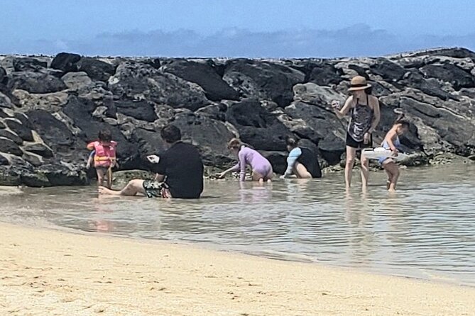 Waikiki! Very Shallow Snorkeling Fish Marinelife!Free Pics&Video! - Equipment and Accessibility