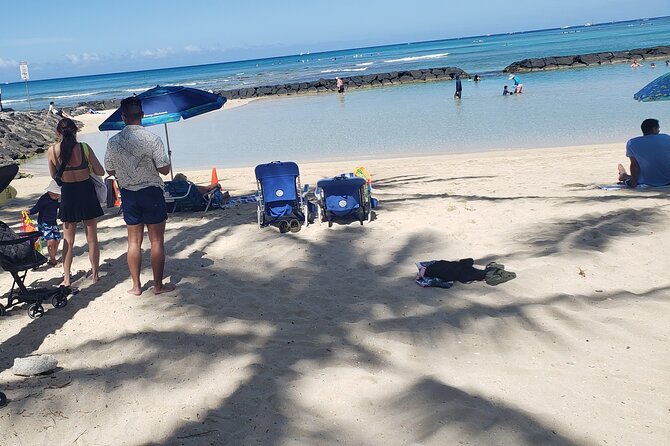 Waikiki! Very Shallow Snorkeling Fish Marinelife!Free Pics&Video! - Equipment and Accessibility