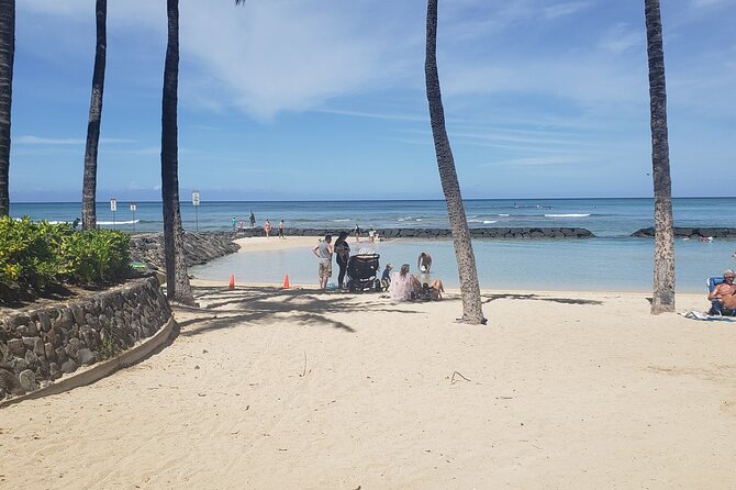 Waikiki! Very Shallow Snorkeling Fish Marinelife!Free Pics&Video! - Participant Reviews and Feedback