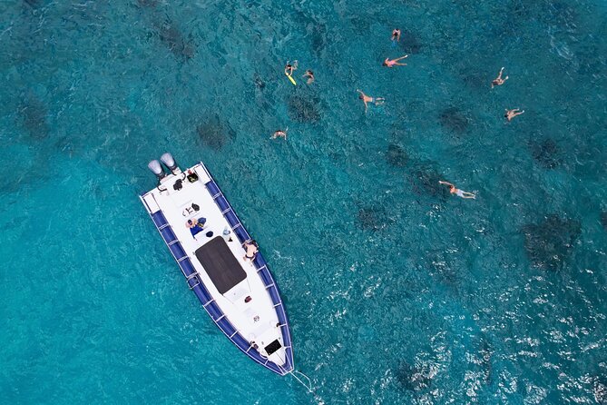 Waikiki Whale Watch & Ocean Rafting Tour (Small-group) - What to Expect on the Tour
