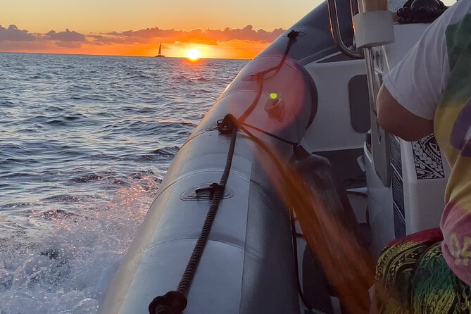 Waikiki Whale Watch (Semi-Private Boat Tour) - Tour Highlights