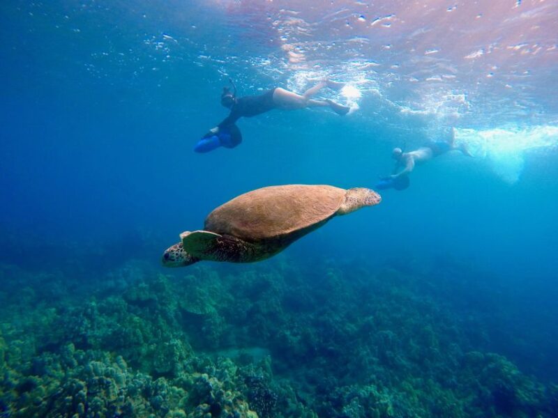 Wailea Beach: Guided Sea Scooter Snorkeling Tour - Key Points