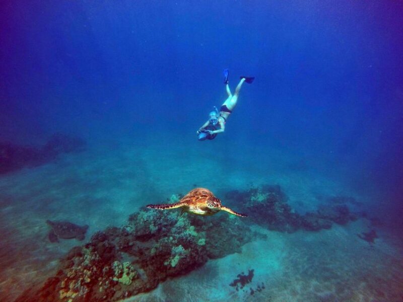 Wailea Beach: Guided Sea Scooter Snorkeling Tour - Experience and Itinerary