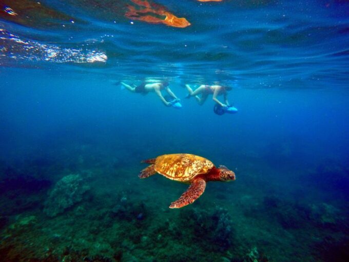 Wailea Beach: Guided Sea Scooter Snorkeling Tour - Guided Snorkeling Adventure