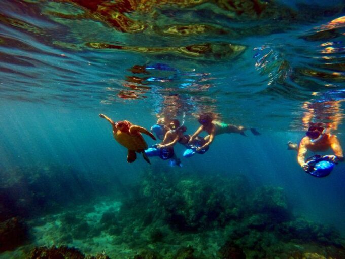 Wailea Beach: Guided Sea Scooter Snorkeling Tour - Frequently Asked Questions