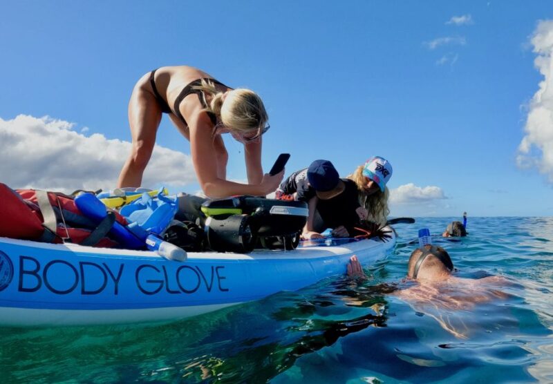 Wailea Beach: Snorkeling Tour for Non-Swimmers & Beginners - Itinerary and Experience