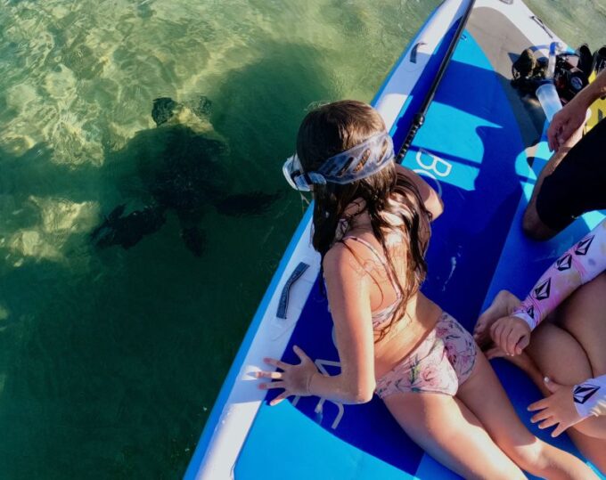 Wailea Beach: Snorkeling Tour for Non-Swimmers & Beginners - Feedback and Suggestions