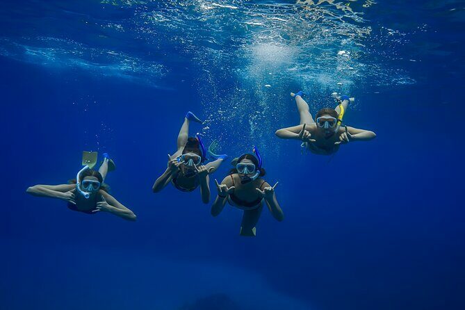Wailea Wildlife Tour with Snorkeling - In-Depth Look at the Tour Experience