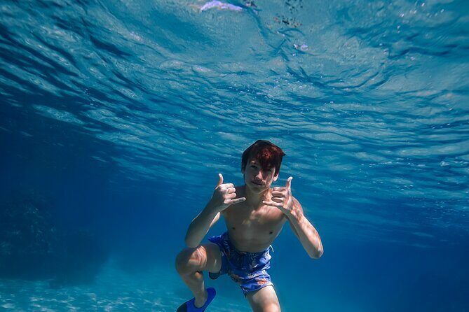 Wailea Wildlife Tour with Snorkeling - FAQ