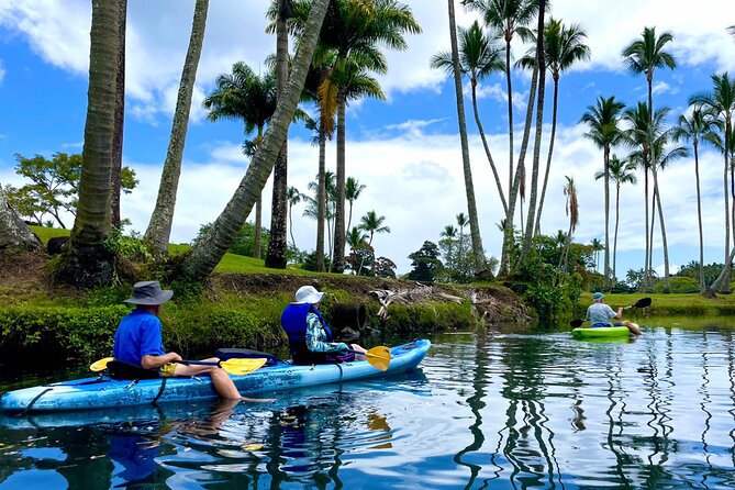 Wailoa River to King Kamehameha Statue Kayak Adventure - Tour Overview
