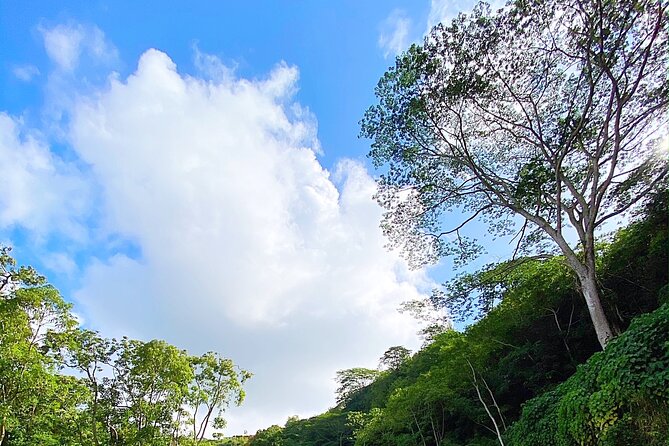 Wailua River and Secret Falls Kayak and Hiking Tour on Kauai - Reviews and Ratings