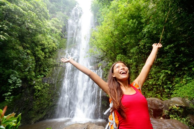 Wailua Valley & Waterfalls Audio Driving Tour - During the Tour
