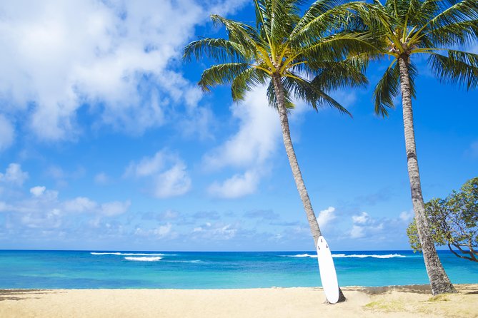 Wailua Valley & Waterfalls Audio Driving Tour - User Reviews