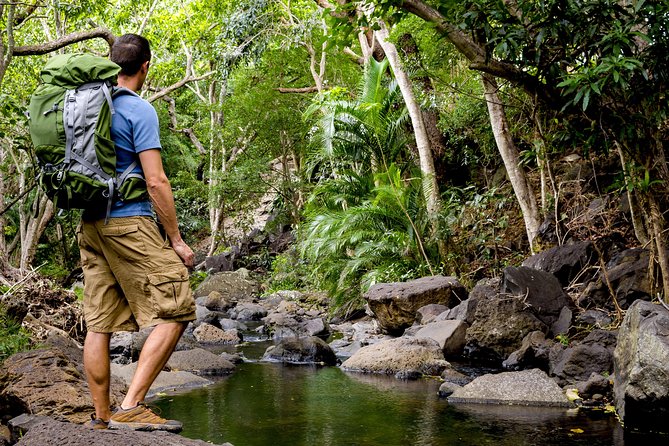 Wailua Valley & Waterfalls Audio Driving Tour - Exploring Waterfalls