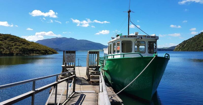 Waimangu Volcanic Valley Entry & Lake Rotomahana Cruise - Key Points