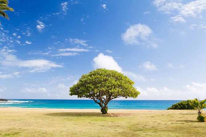Waimea Canyon Private Tour With Local Guide - Meeting and Pickup Details