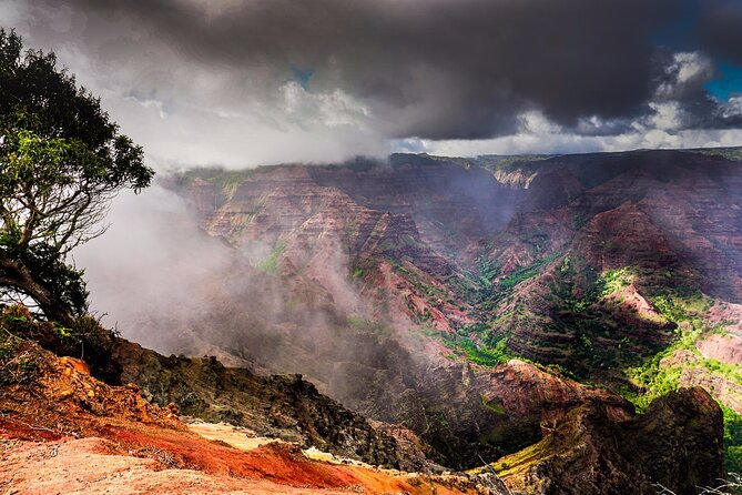 Waimea Canyon Private Tour With Local Guide - Reviews and Feedback
