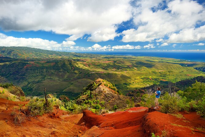 Waimea Canyon Private Tour With Local Guide - Waimea Canyon Exploration