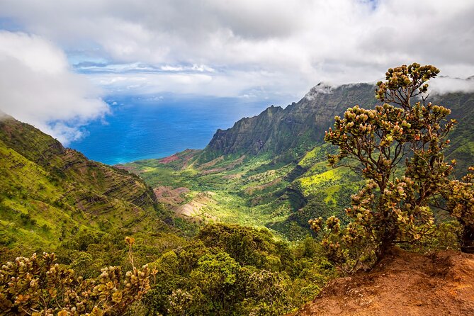 Waimea Canyon Private Tour With Local Guide - South Shore Attractions