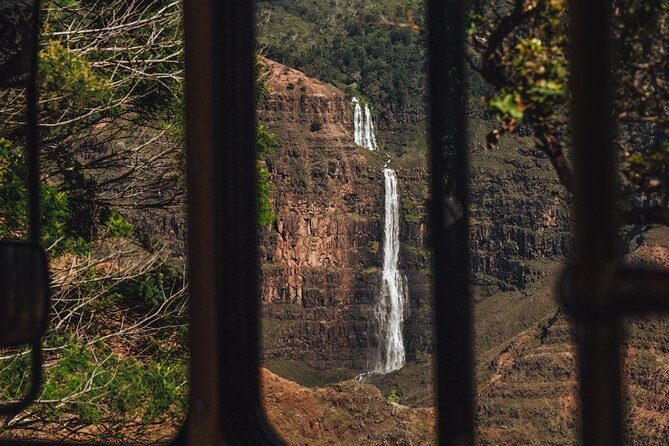Waimea Historical and Cultural Shared Tour - Traveler Reviews and Feedback