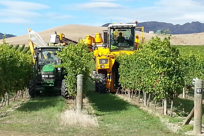 Waipara Wine Trail Afternoon Tour From Christchurch - Dietary Accommodations