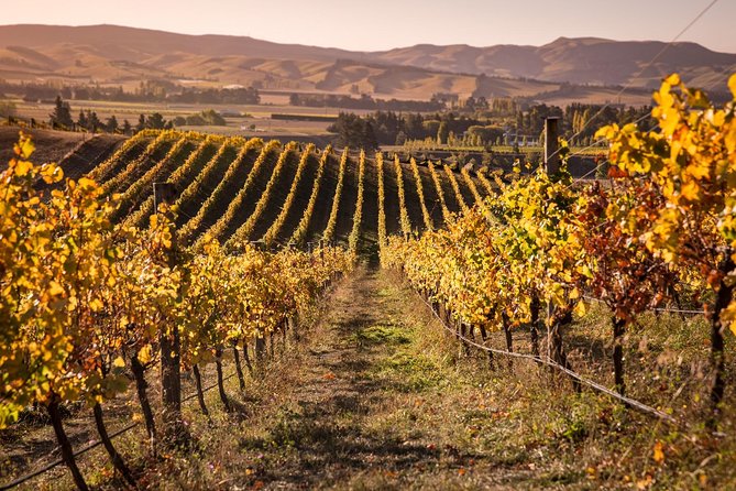 Waipara Wine Trail Afternoon Tour From Christchurch - Transportation and Accessibility