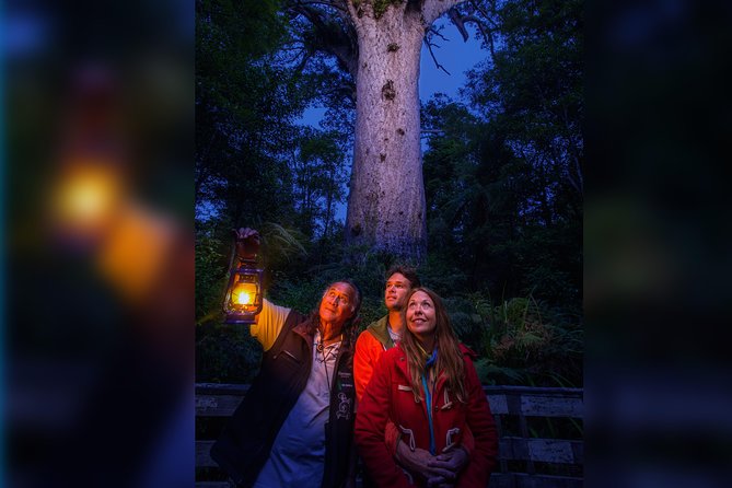 Waipoua Forest: Twilight Encounter - Maori Cultural Eco Night Tour - Immersive Cultural Experience