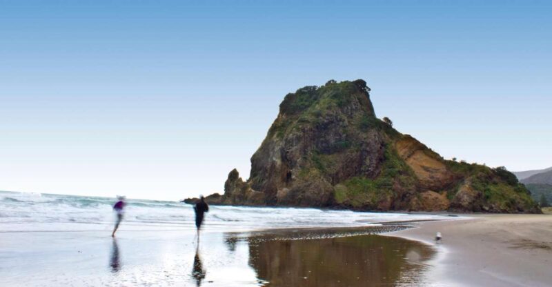 Waitakere Ranges Wilderness Experience Tour From Auckland - Itinerary and Highlights