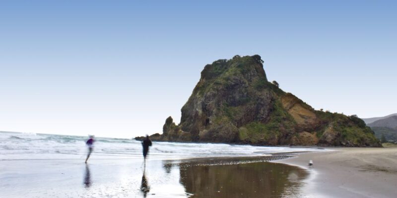 Waitakere Ranges Wilderness Experience Tour From Auckland - Customer Reviews and Ratings