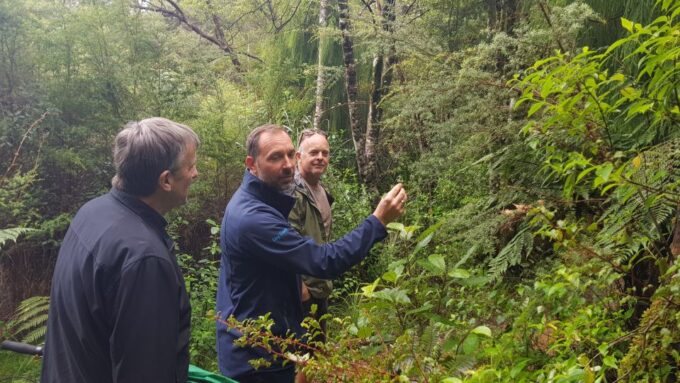 Waitakere Ranges Wilderness Experience Tour From Auckland - Native Flora and Fauna