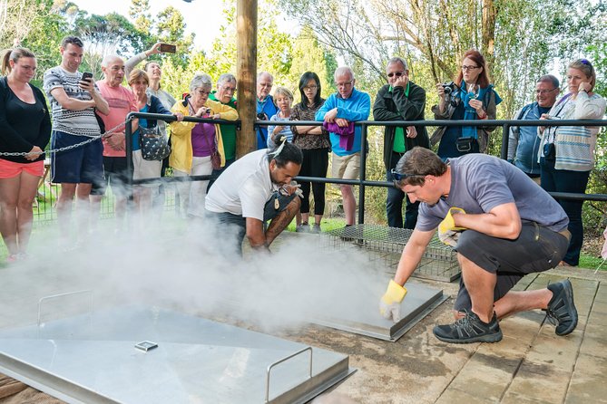 Waitangi Treaty Grounds: Combo Pass (Hāngī + Concert + Admission) - Cultural Activities
