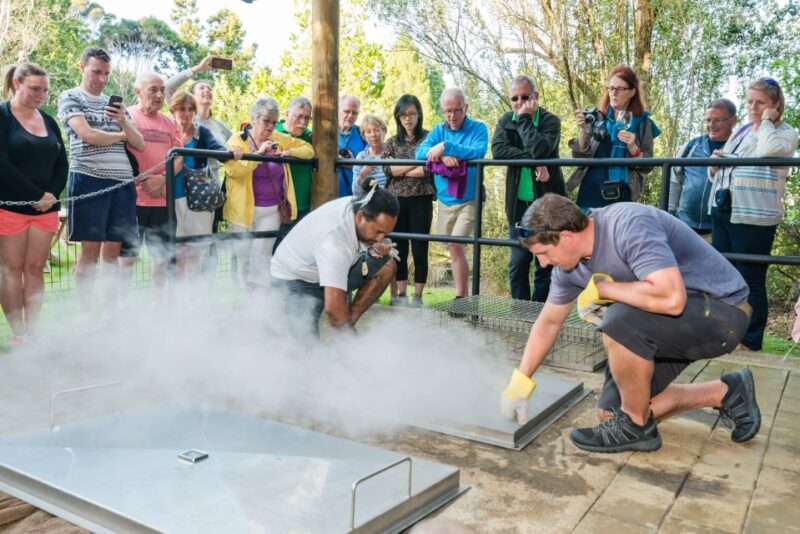 Waitangi: Treaty Grounds Hāngī and Concert Combo Pass - Payment and Booking Options