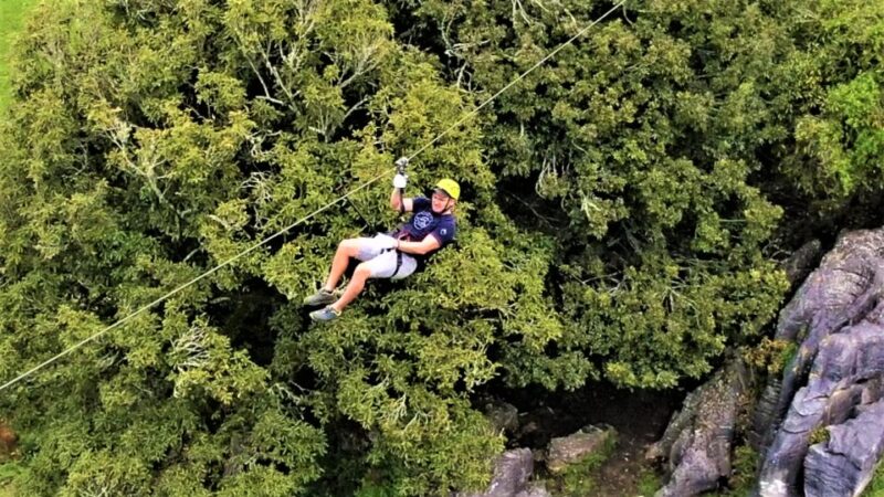 Waitomo Caves 1-Kilometer-Long Zipline Tour - Included in the Tour