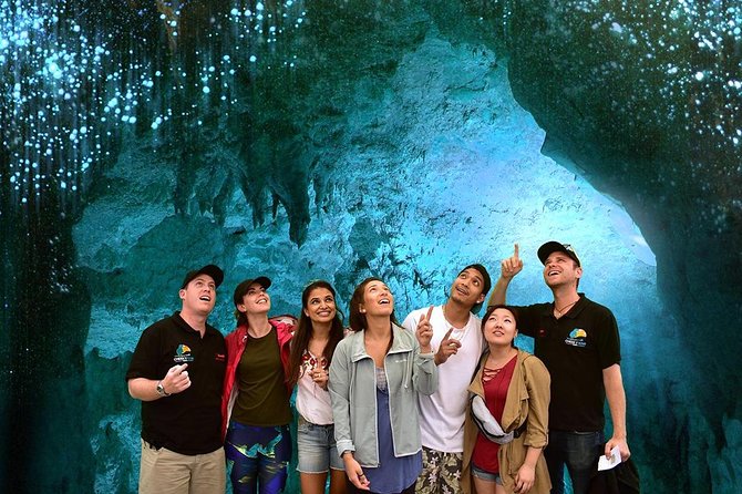 Waitomo Caves & Hobbiton Small Group Tour From Auckland - Hobbiton Movie Set
