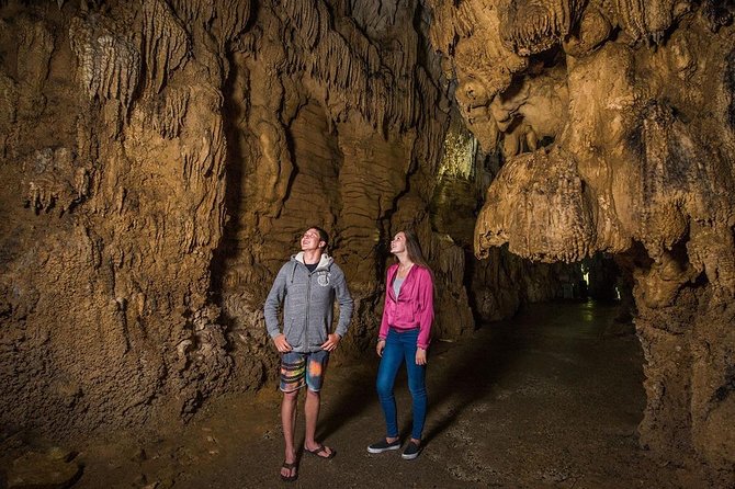 Waitomo Caves & Hobbiton Small Group Tour From Auckland - Waitomo Caves