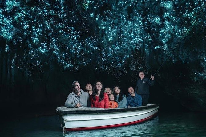 Waitomo Caves Private Tour From Auckland - Tour Highlights