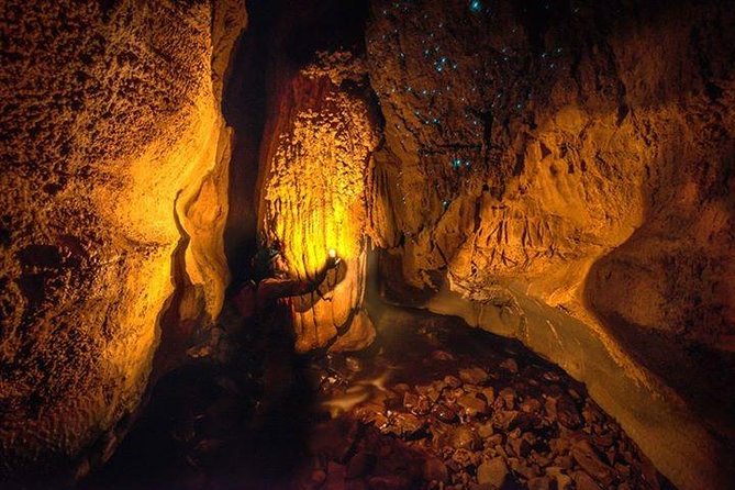 Waitomo Caves Private Tour From Auckland - Reviews and Ratings